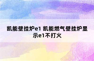 凯能壁挂炉e1 凯能燃气壁挂炉显示e1不打火